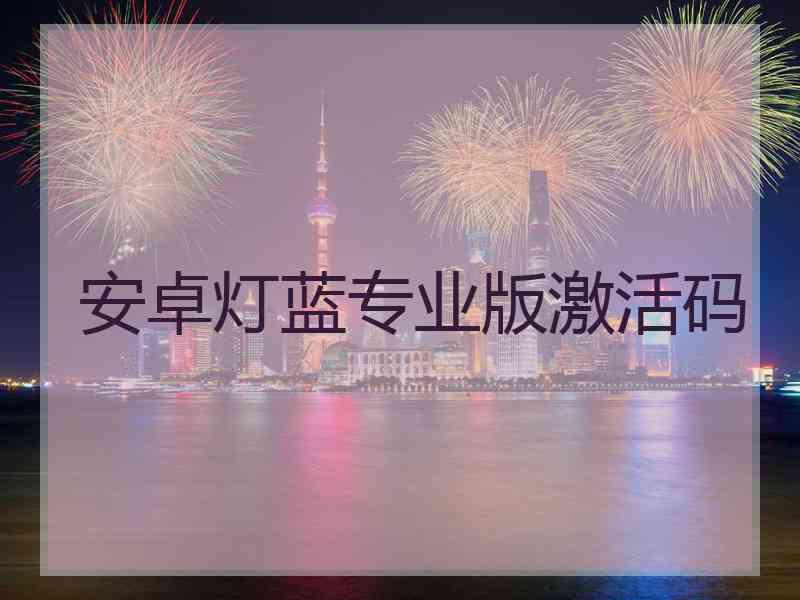 安卓灯蓝专业版激活码
