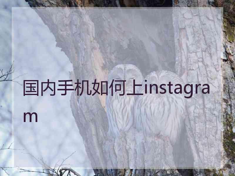国内手机如何上instagram