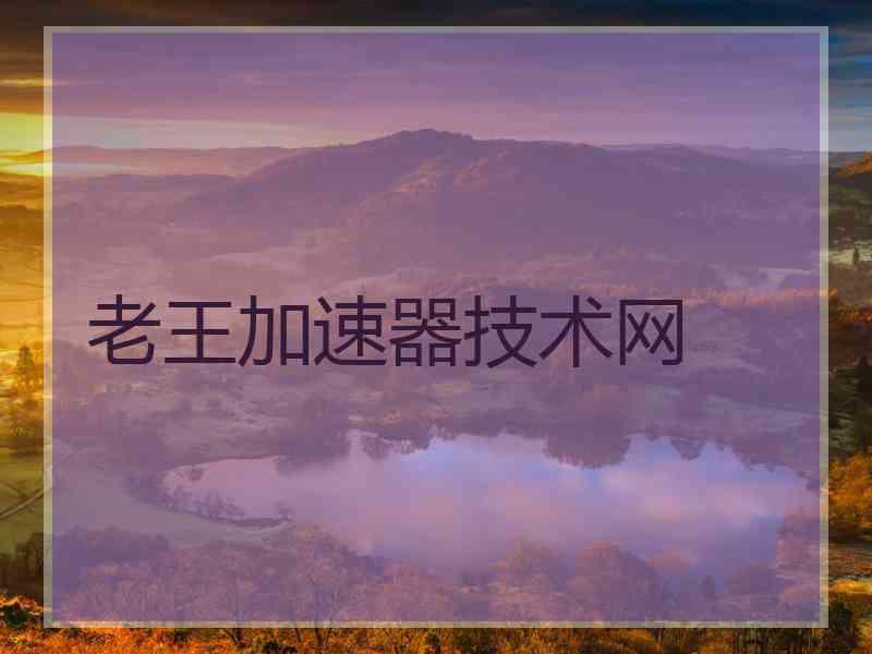 老王加速器技术网