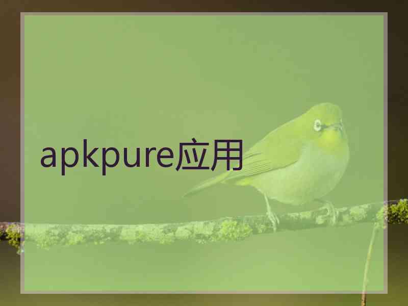 apkpure应用