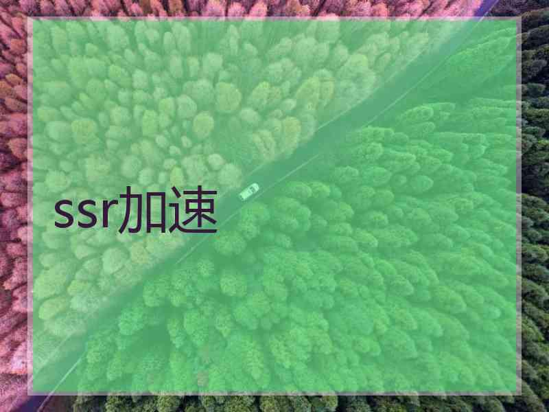 ssr加速