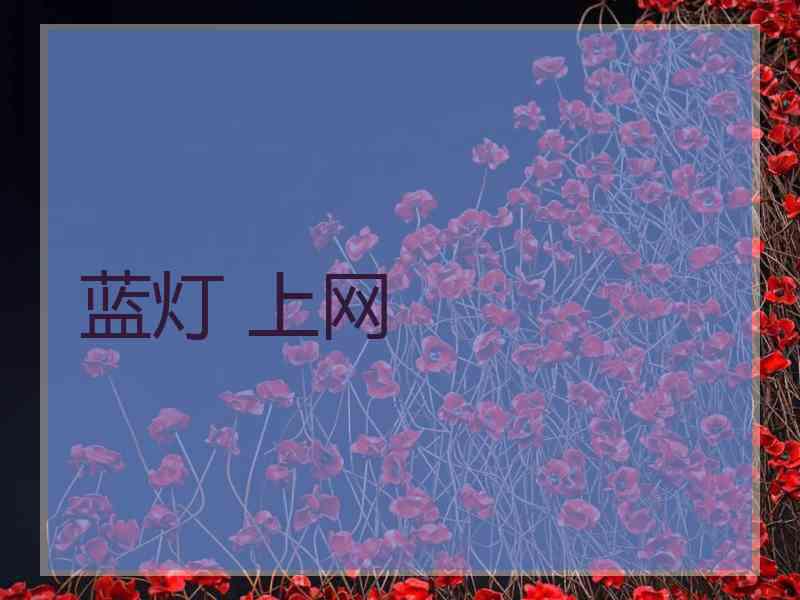 蓝灯 上网