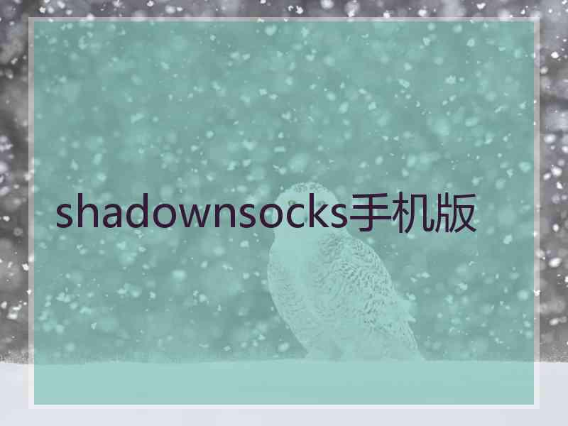 shadownsocks手机版