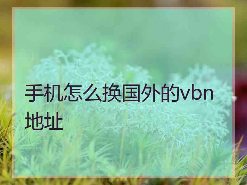 手机怎么换国外的vbn地址