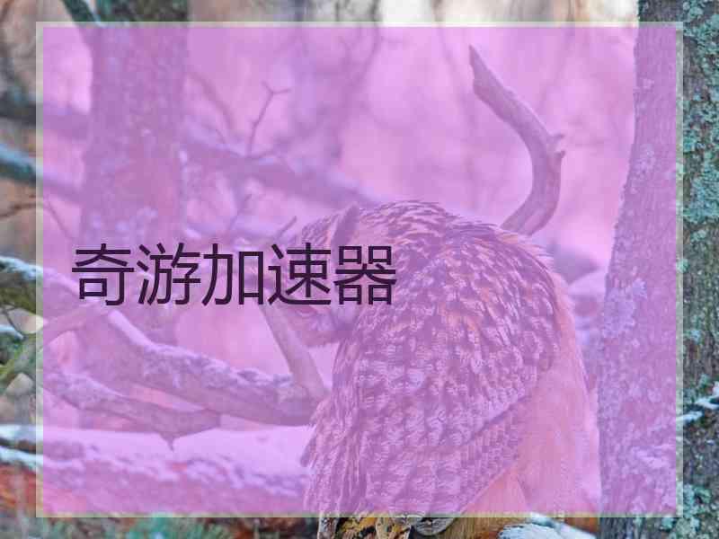 奇游加速器
