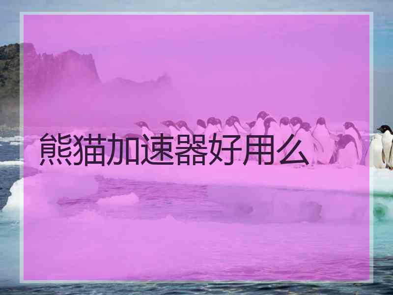 熊猫加速器好用么