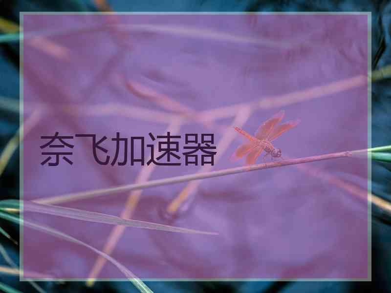 奈飞加速器
