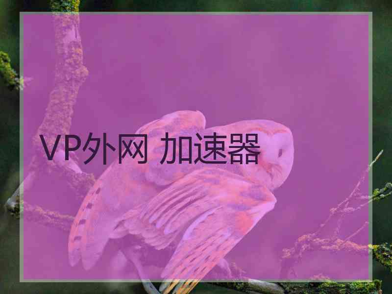VP外网 加速器