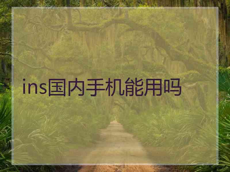 ins国内手机能用吗