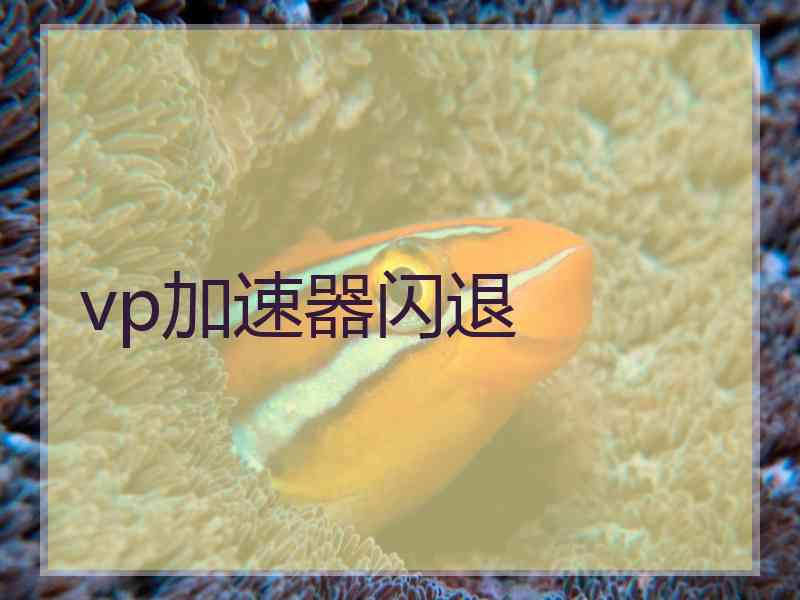 vp加速器闪退