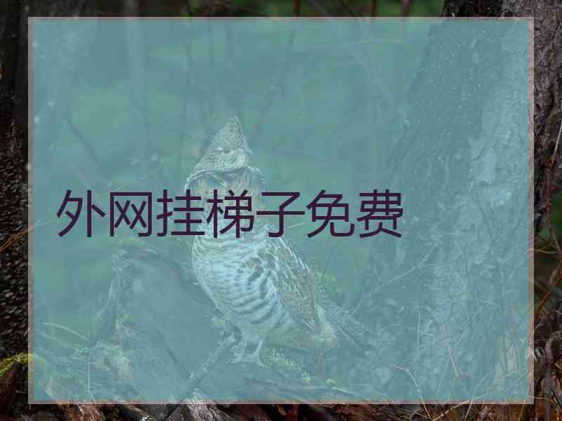 外网挂梯子免费