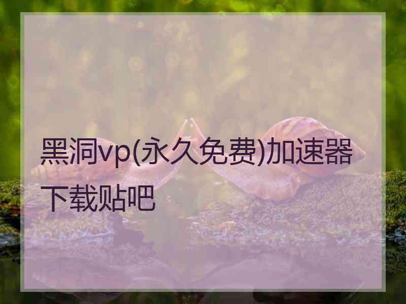 黑洞vp(永久免费)加速器下载贴吧