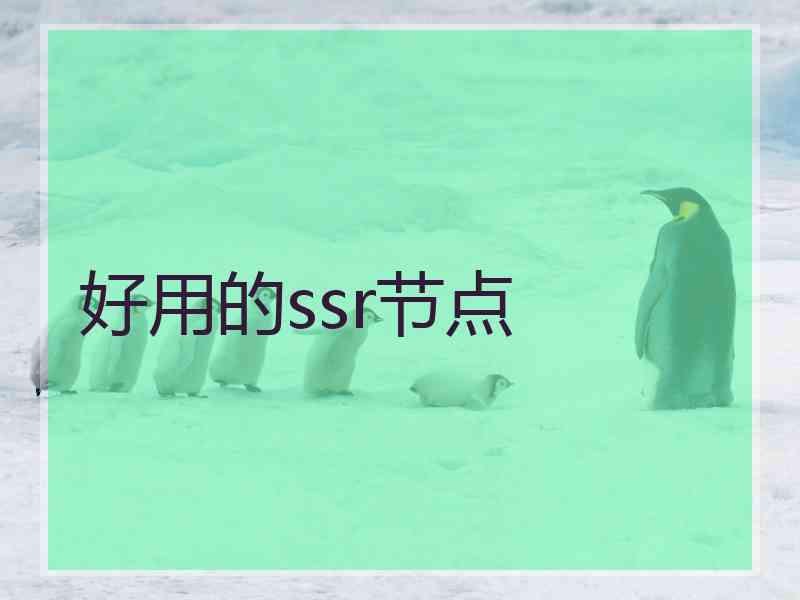 好用的ssr节点