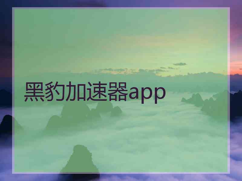 黑豹加速器app