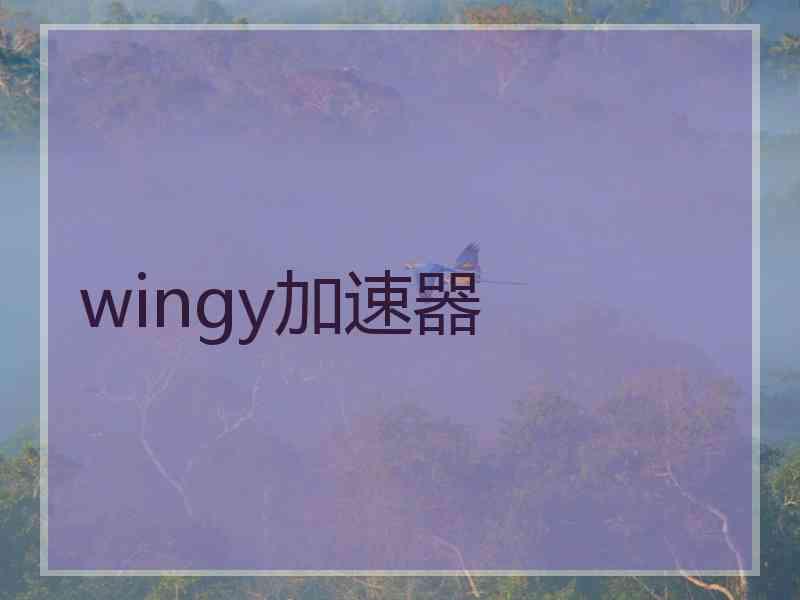 wingy加速器