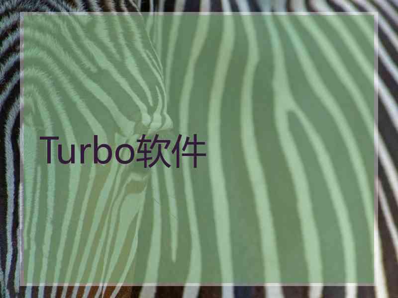 Turbo软件