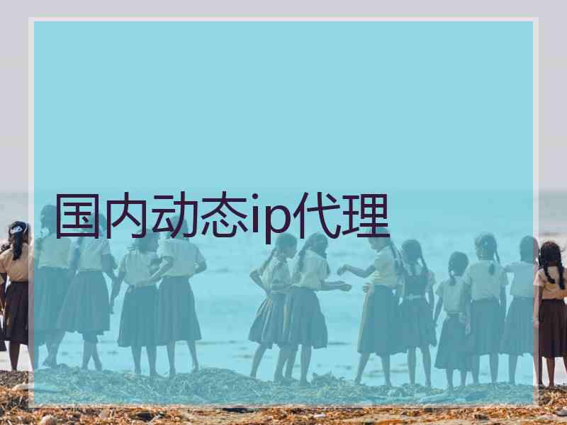国内动态ip代理