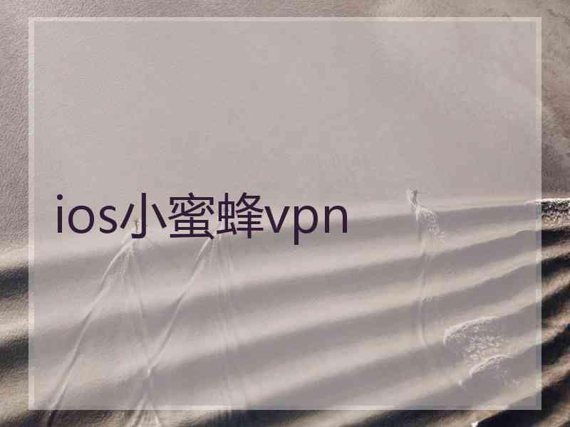 ios小蜜蜂vpn
