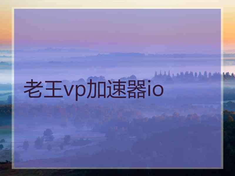 老王vp加速器io
