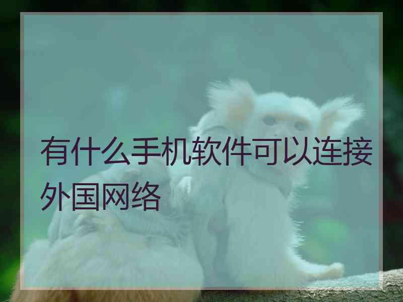 有什么手机软件可以连接外国网络