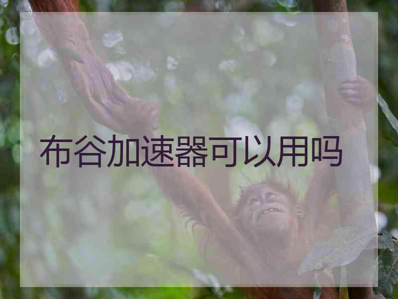 布谷加速器可以用吗