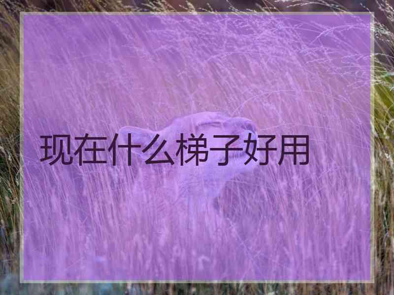 现在什么梯子好用