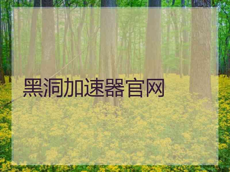 黑洞加速器官网