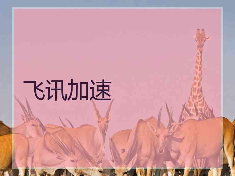 飞讯加速