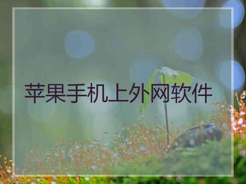 苹果手机上外网软件