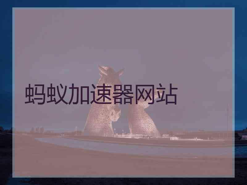 蚂蚁加速器网站