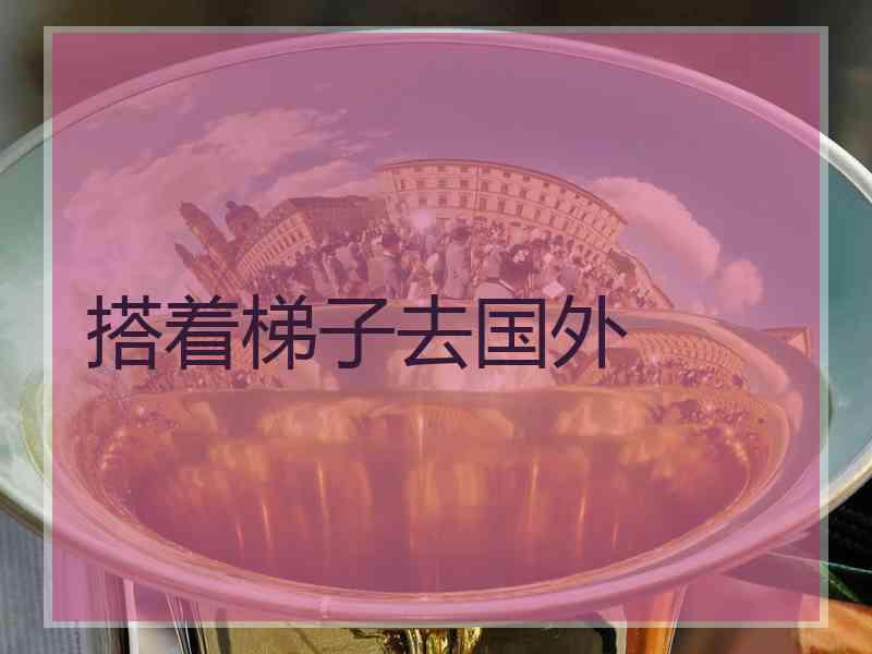 搭着梯子去国外