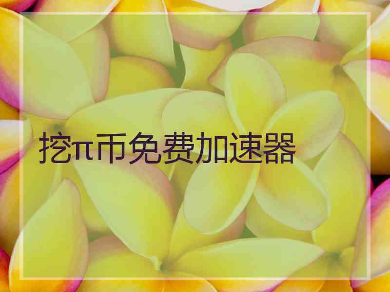 挖π币免费加速器