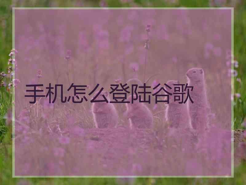 手机怎么登陆谷歌