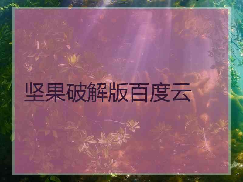 坚果破解版百度云