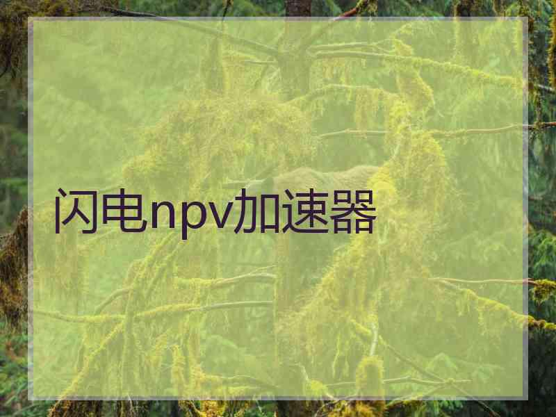 闪电npv加速器