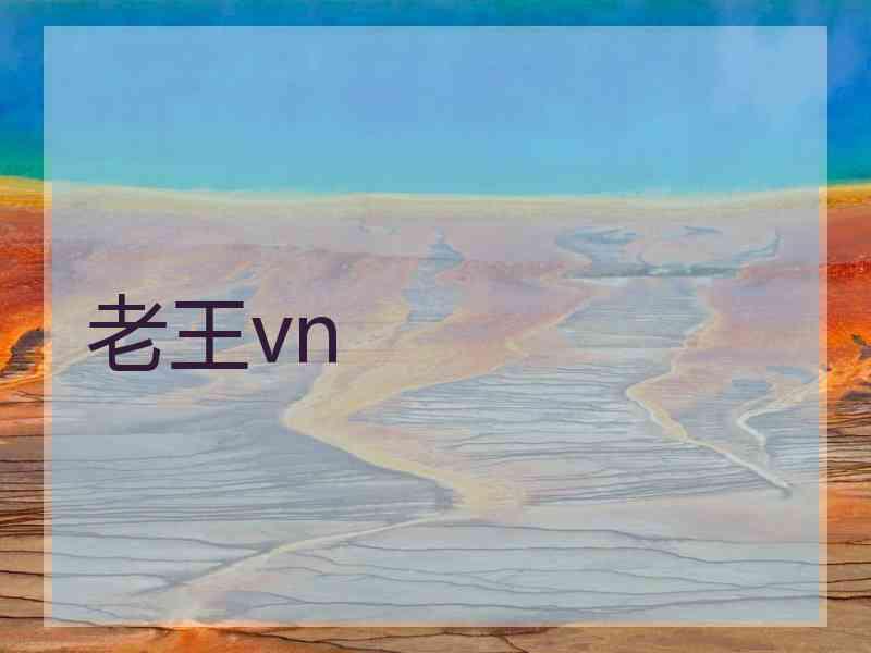 老王vn