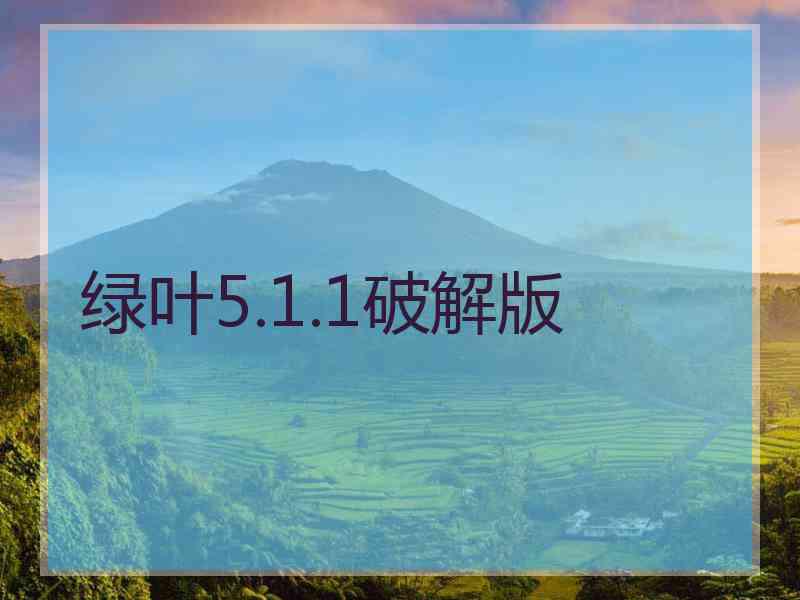 绿叶5.1.1破解版