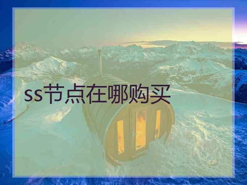 ss节点在哪购买