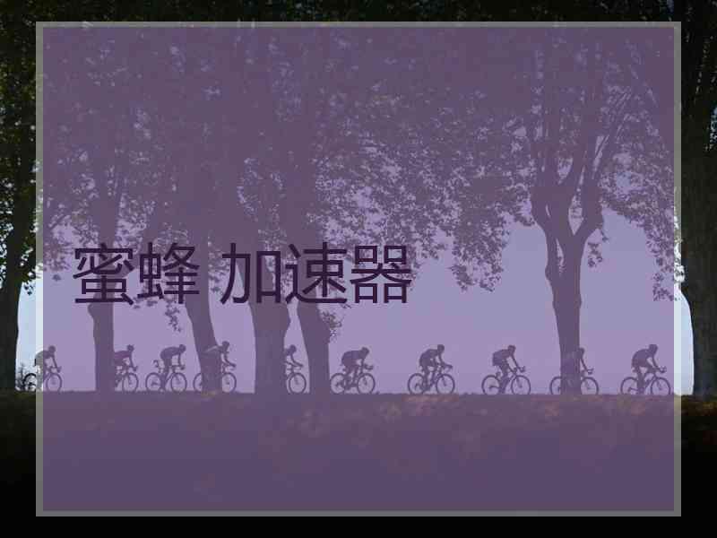 蜜蜂 加速器