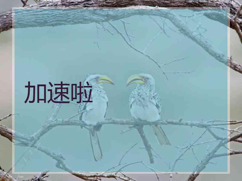 加速啦