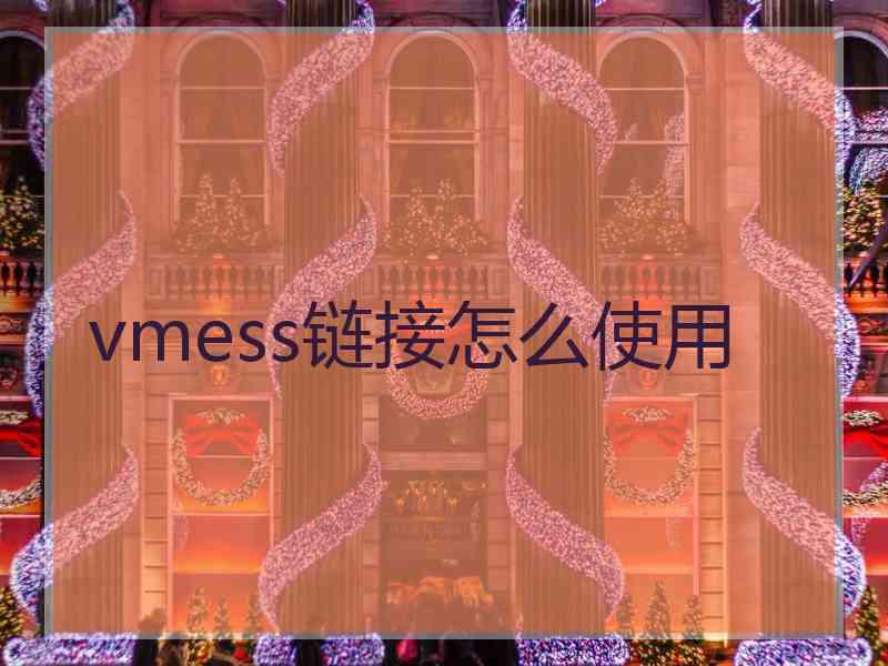 vmess链接怎么使用