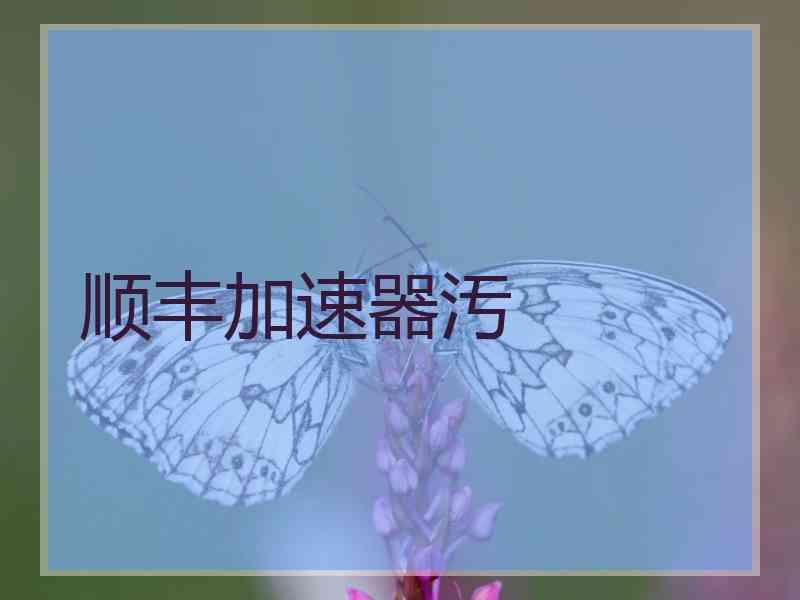 顺丰加速器汚