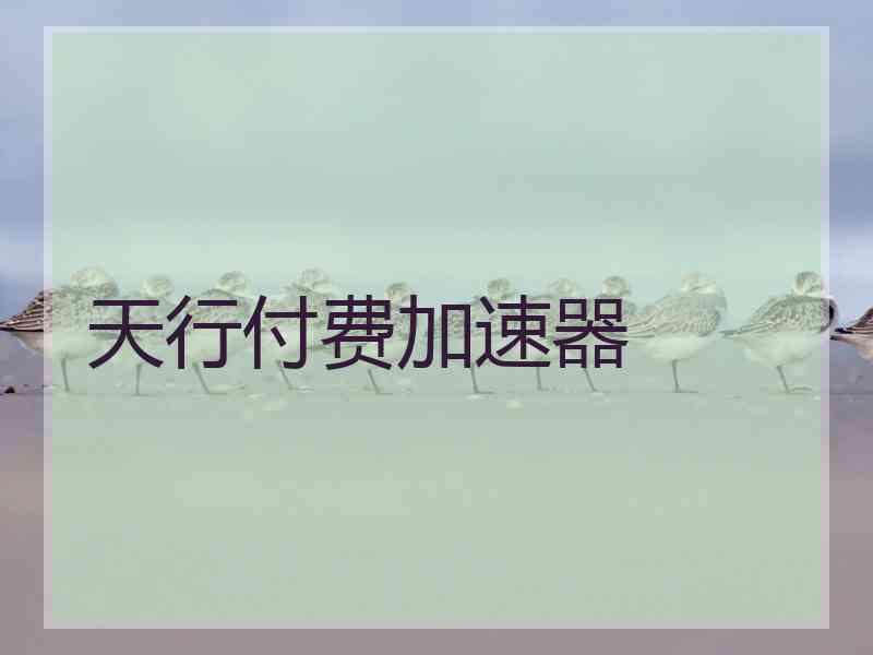 天行付费加速器