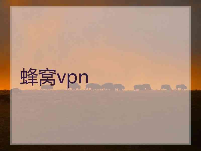 蜂窝vpn