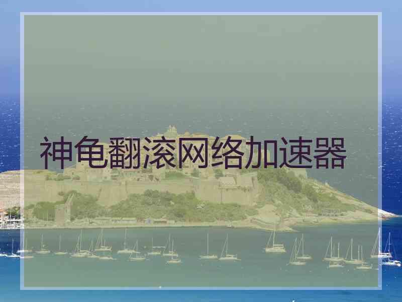 神龟翻滚网络加速器