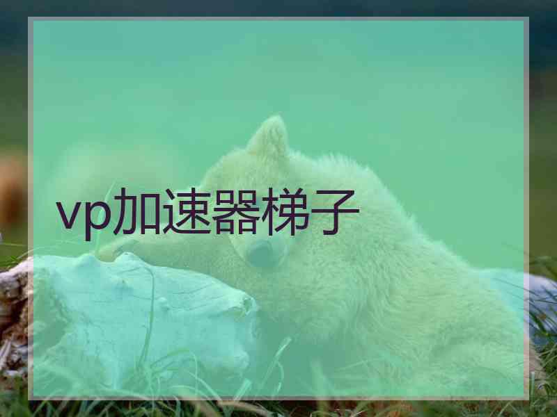 vp加速器梯子