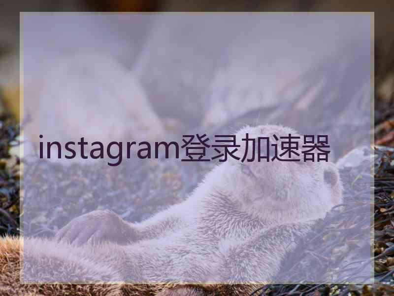 instagram登录加速器