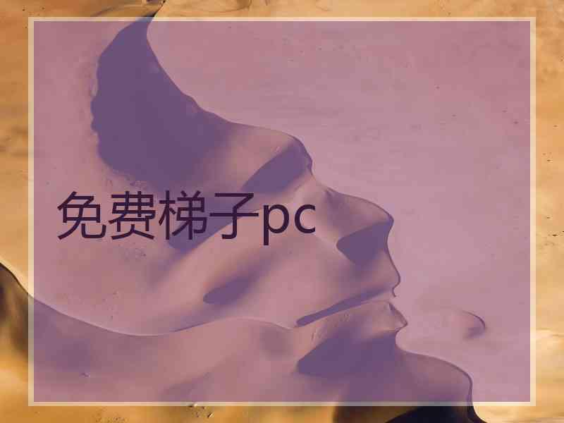 免费梯子pc