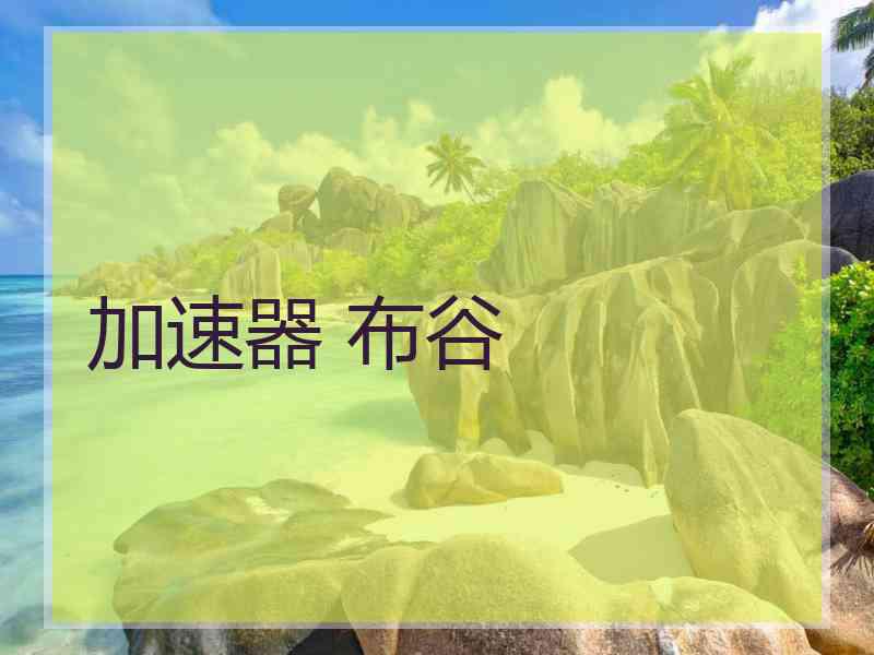 加速器 布谷
