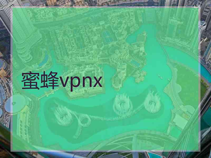 蜜蜂vpnx